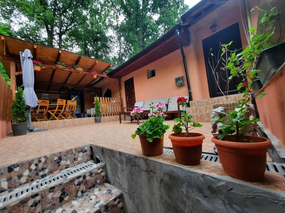 Casa De Vacanta Emd Eselnita Exterior photo