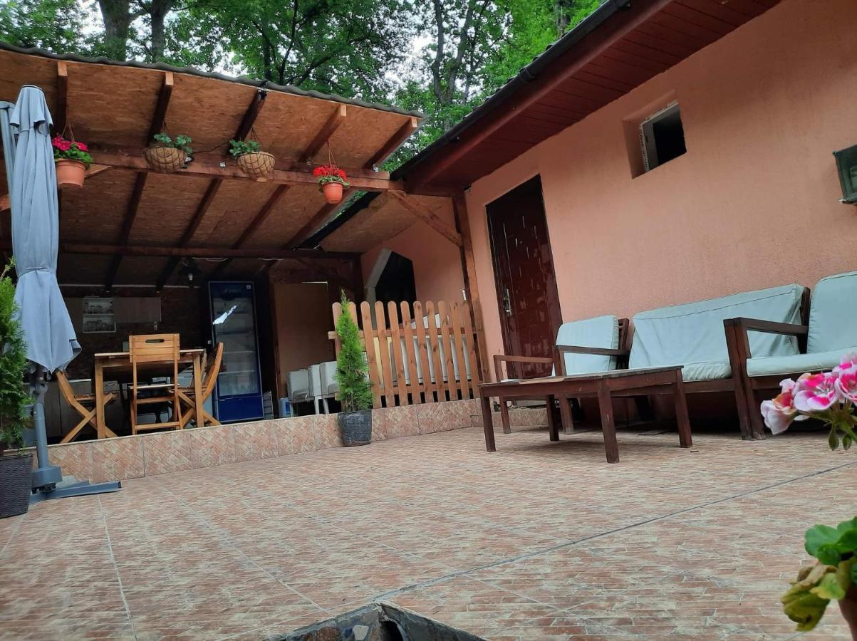 Casa De Vacanta Emd Eselnita Exterior photo